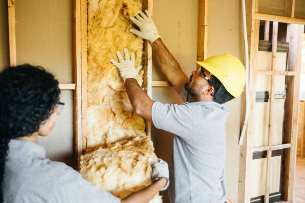 Best Residential Insulation Services  in China, TX